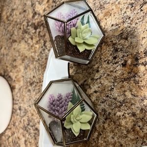 Bath and Body Works Plug Ins